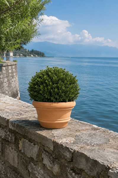 Flache Terracotta Vase im Medici-Stil aus Impruneta